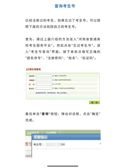 如何查询考生号？详细步骤解析！-图3