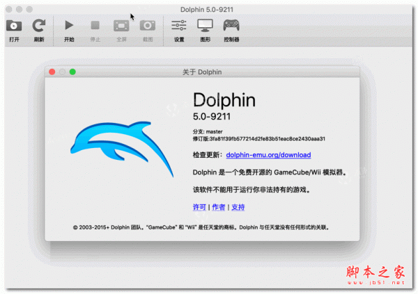 Dolphin 报错应该如何解决？-图1