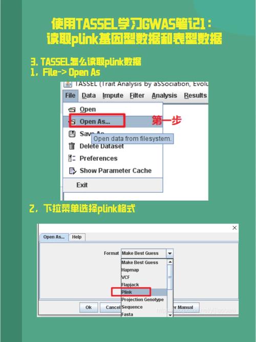 QQ图绘制过程中出现报错，该如何解决？-图2