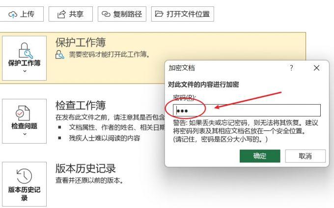 如何在Excel中设置密码保护工作表或工作簿？-图3