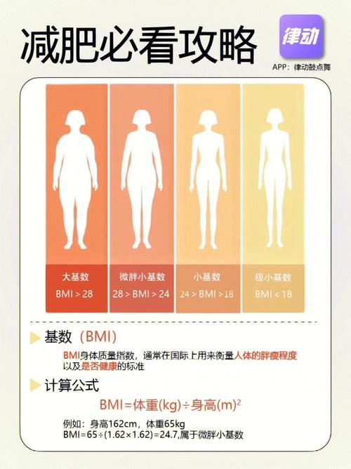 如何计算bmi-图2