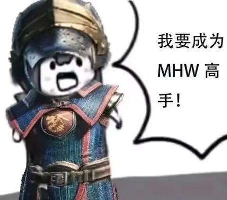 MHW报错了，我该怎么办？-图1