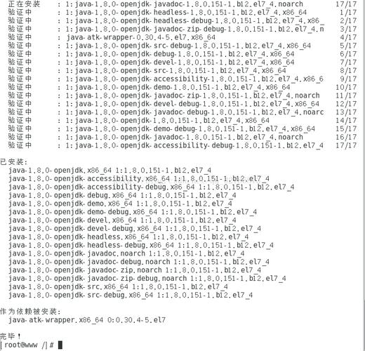 如何在CentOS 7上安装JDK?-图3