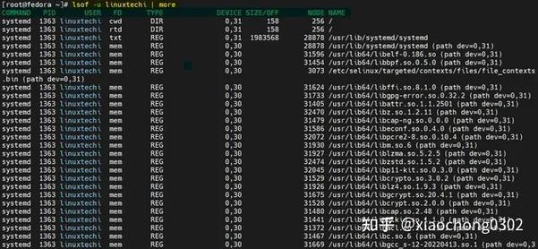 如何在CentOS系统中使用lsof命令？-图2