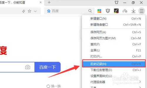如何清除浏览器历史记录？-图3