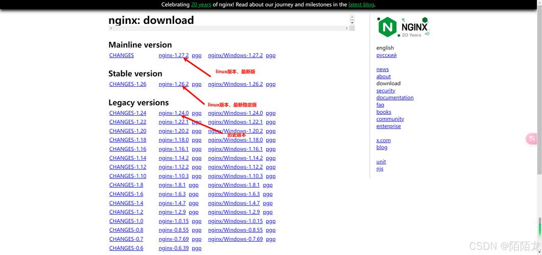 如何在CentOS上安装Nginx？-图1