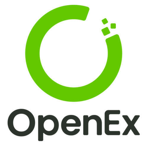 OpenEX报错，如何解决这一常见问题？-图1