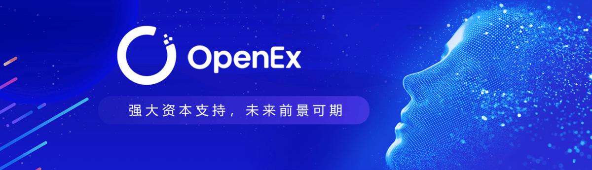 OpenEX报错，如何解决这一常见问题？-图3