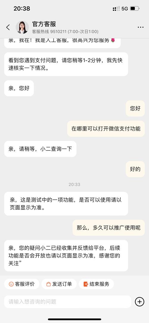 拼多多是如何实现一毛十刀网站微信支付的？-图2