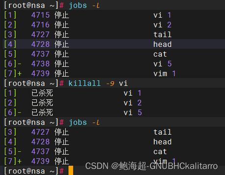 如何在CentOS系统中查看进程信息？-图1