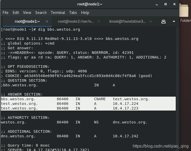 DNS Nameserver 报错，该如何解决？-图2