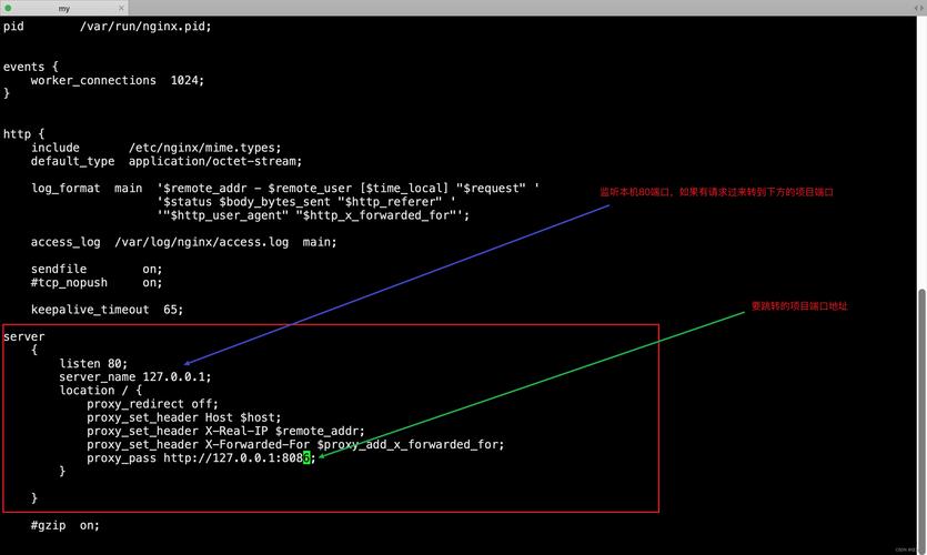 如何在CentOS 7上安装和配置Nginx？-图3