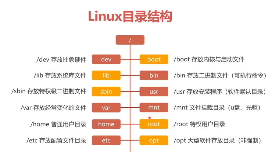 CentOS操作系统中的目录结构是如何组织的？-图1