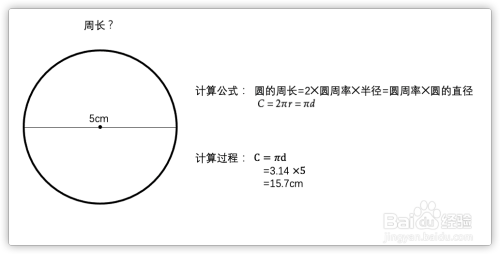 如何计算圆的周长？掌握这一数学技巧！-图2