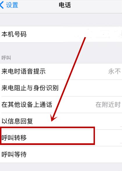 苹果手机如何设置呼叫转移功能？-图3