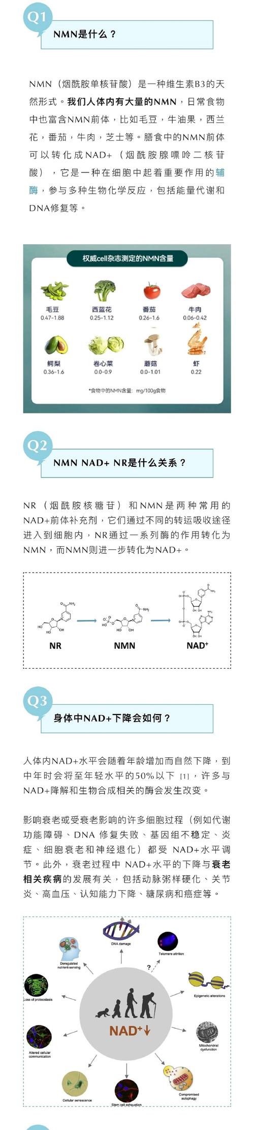 Substance报错，如何有效解决并避免此类问题？-图3