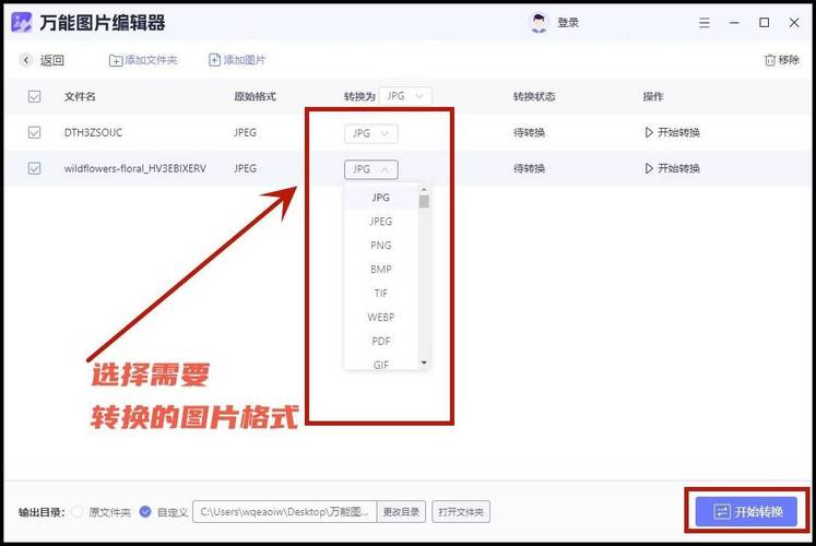 如何将图片成功转换为表格？-图3