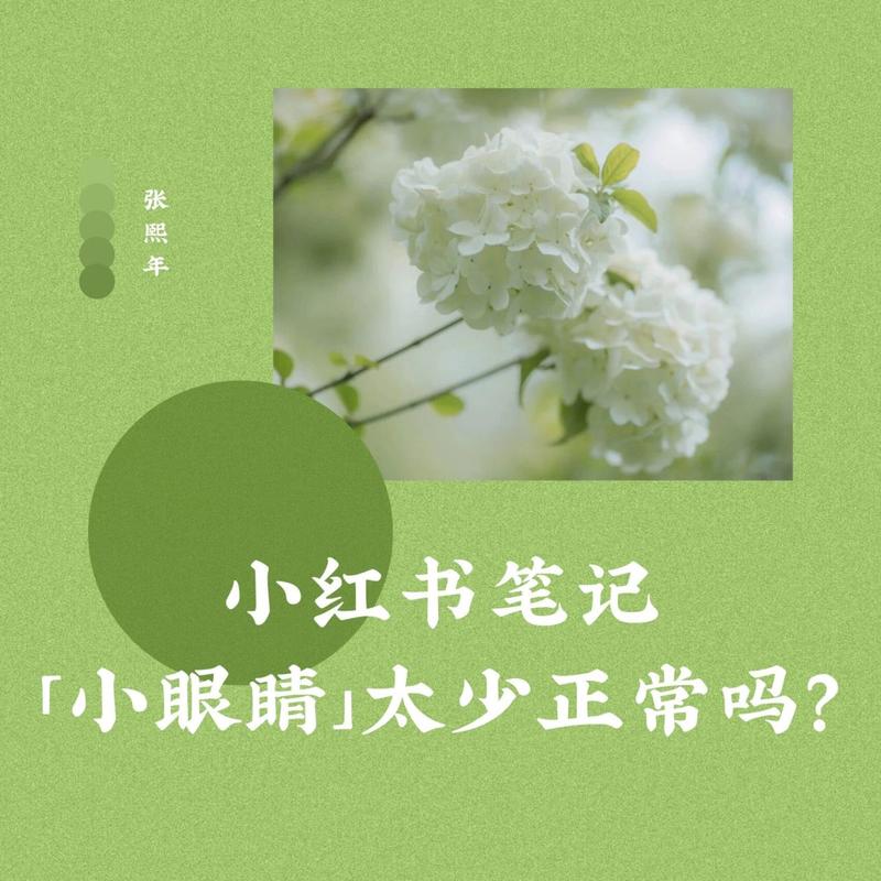 小红书小眼睛修改器是什么？如何使用？-图2