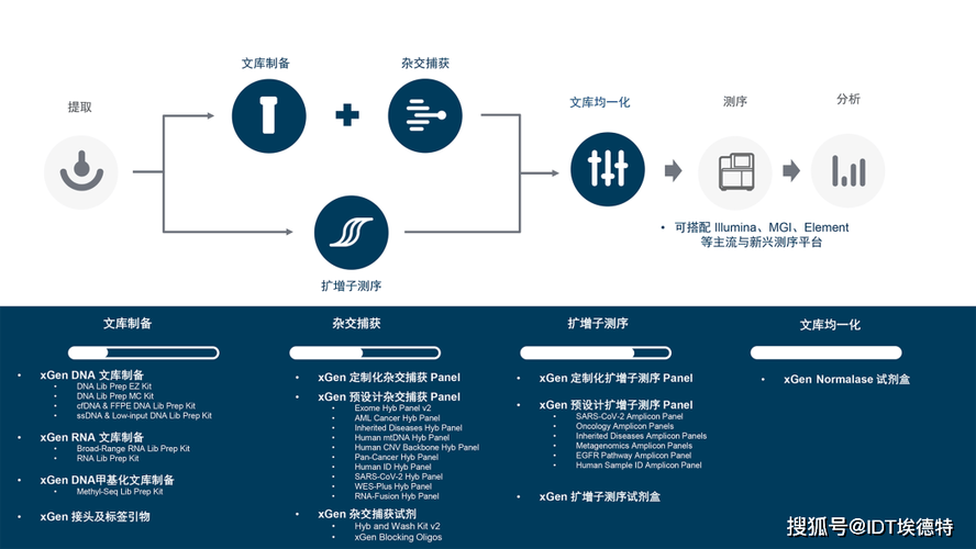 如何解决xgen报错问题？-图2