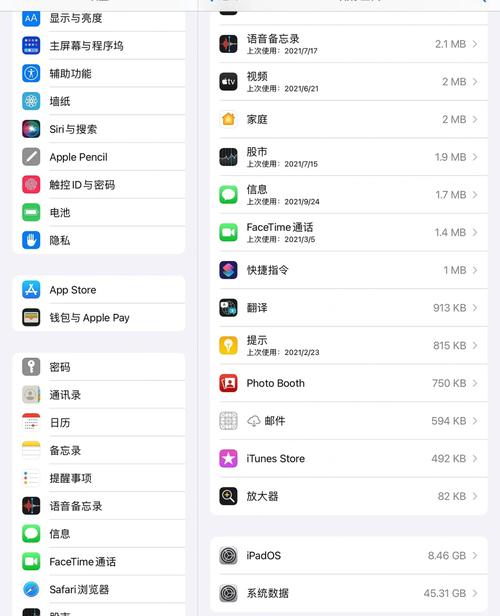 iPad存储空间不足？教你如何有效清理！-图2