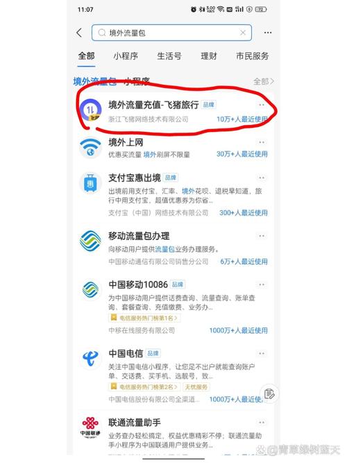 中国电信如何开通国际漫游服务？-图2