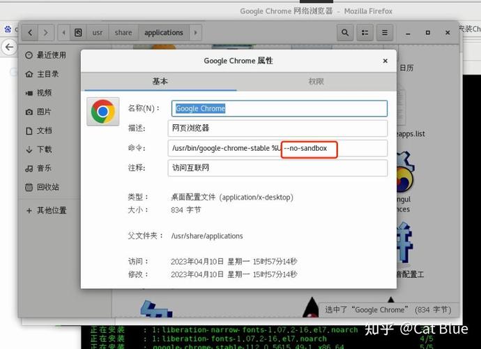 如何在CentOS上安装和使用Chrome浏览器？-图3