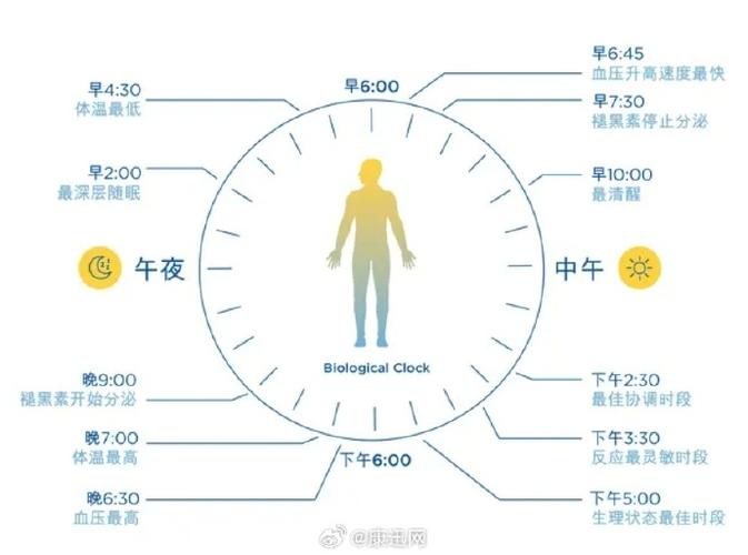 如何正确调整时间？掌握这些技巧让你轻松应对！-图1