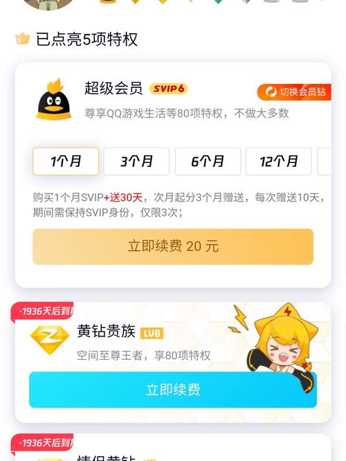 永久超级会员卡盟，真的能提供终身会员服务吗？-图1