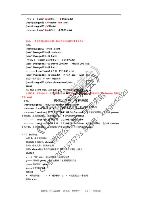 如何在CentOS系统中为文件设置权限？-图1