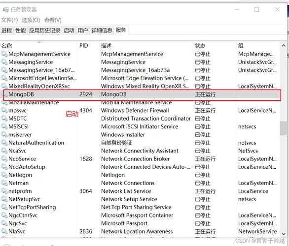 为什么运行 npm start 时会出现错误？-图1