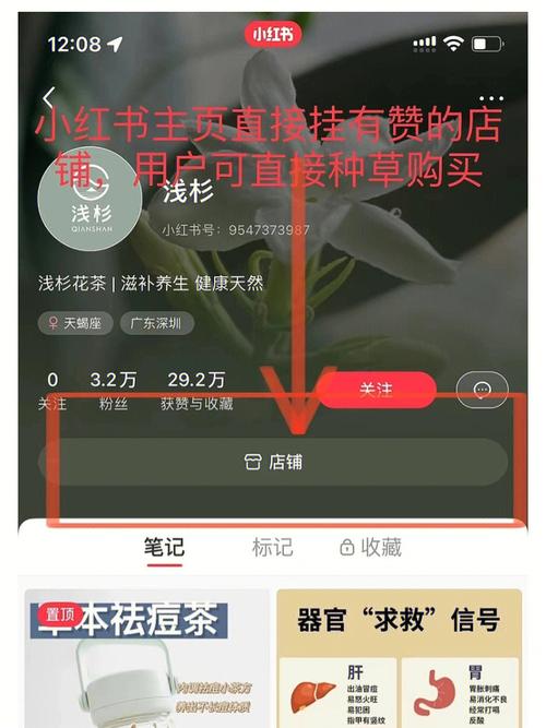 小红书如何实现页面背景的改造与优化？-图2