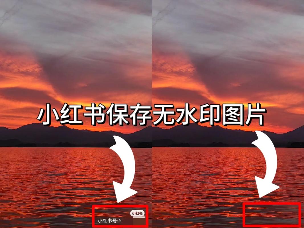 小红书作者如何去除水印？实用方法大揭秘！-图3