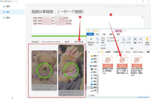 如何轻松下载网络视频？一文教你快速掌握！-图3