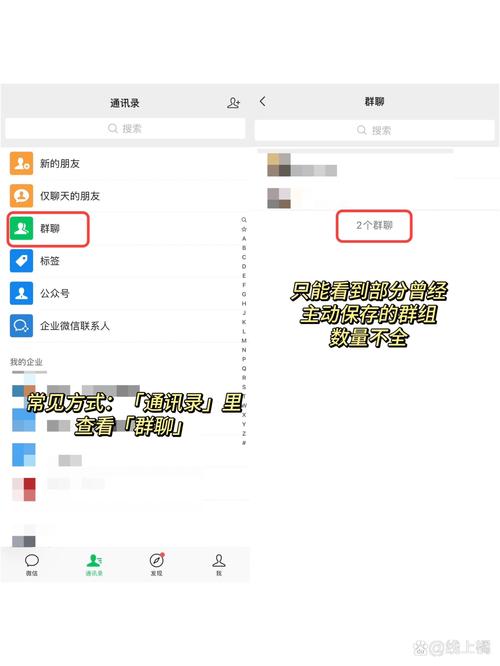 如何在微信中查看群聊信息？-图1