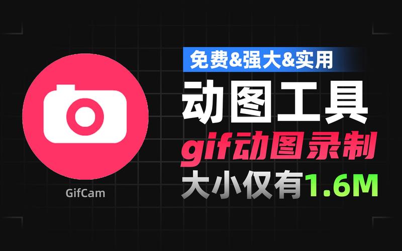 GIFCam报错怎么办？-图1