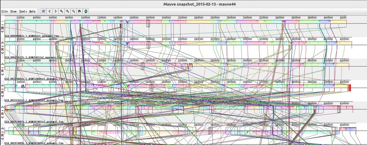 Mauve报错，如何解决这个问题？-图2