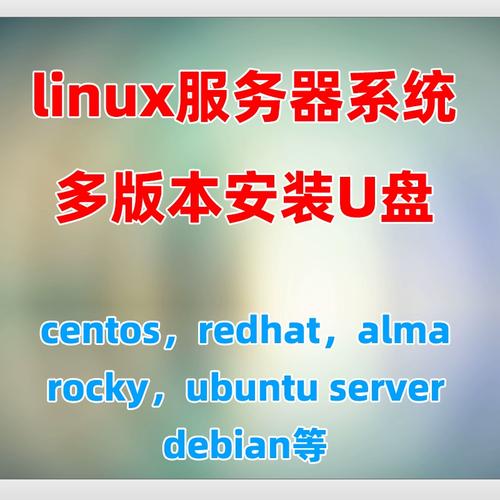 如何进行CentOS U盘安装？详细教程解析！-图1