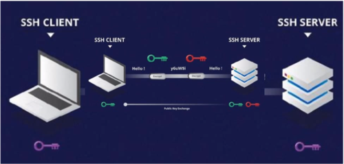 如何在CentOS系统上安装和使用Xshell进行远程连接？-图1