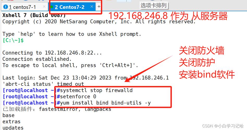 如何在CentOS系统中配置和解析域名？-图3