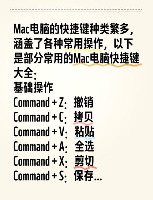 如何在Mac上实现文件或文本的剪切操作？-图1