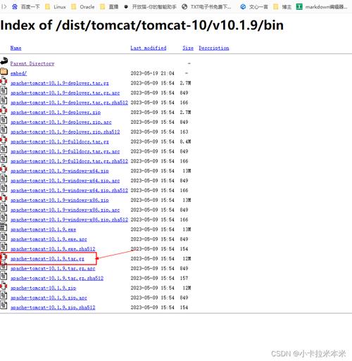 如何在CentOS上安装Tomcat 7？-图3