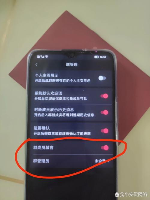 小红书群聊中如何解除禁言功能？-图2