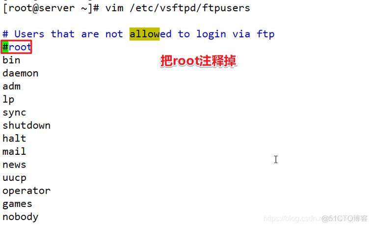 配置CentOS以访问FTP服务特定目录的指南-图2 配置CentOS以访问FTP服务特定目录的指南-图2