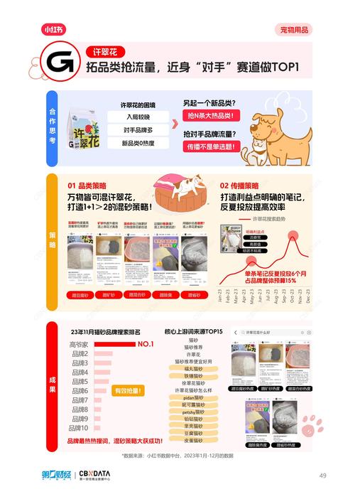 小红书萌宠日常，宠物博主揭秘真实养宠心得-图1