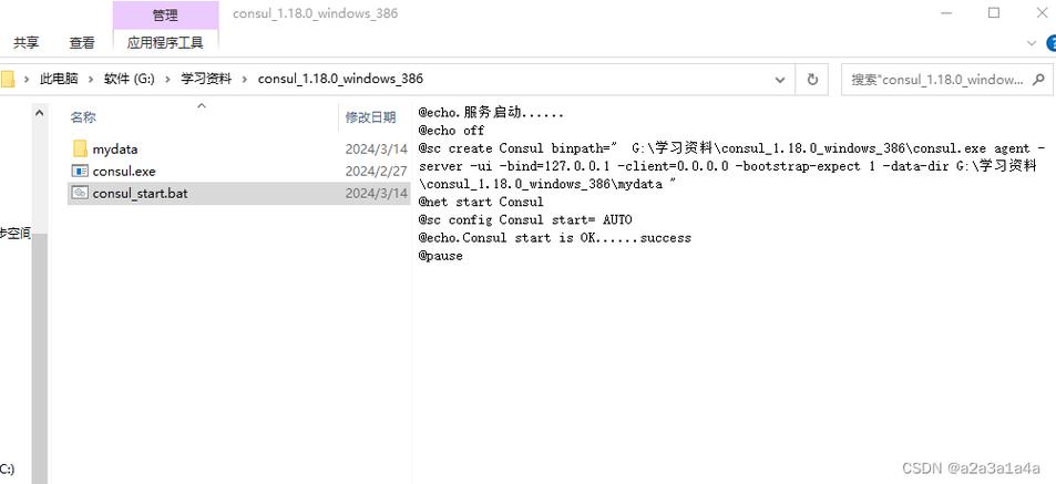 Consul 报错，如何解决这一常见问题？-图2