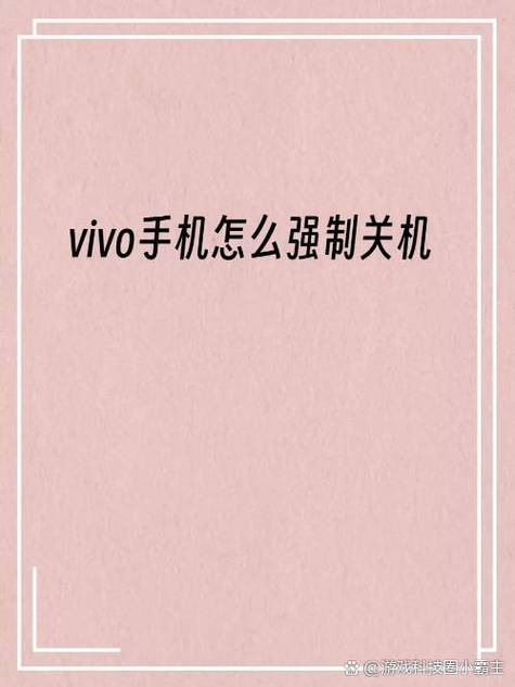 vivo手机如何实现强制关机操作？-图2