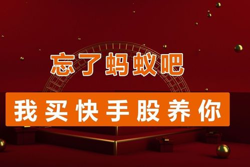 蚂蚁双击24小时下单平台，快手购物新选择的高效服务可靠吗？-图2