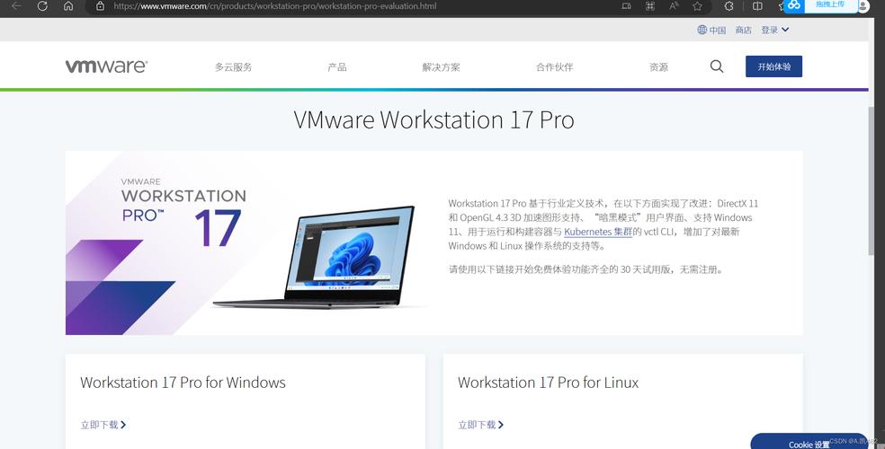 如何在CentOS 7系统上安装Windows 10？-图2