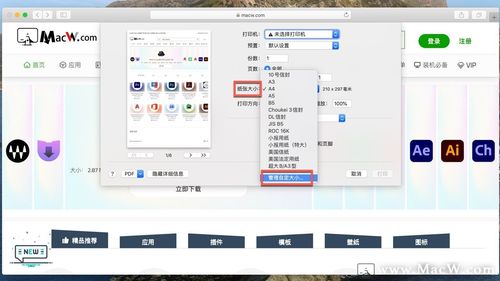 如何在Mac上截取滚动长截图？-图2